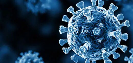 Advancing Your SARS-CoV-2 Research