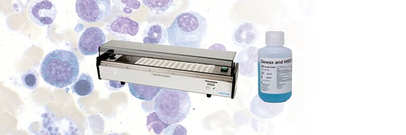 Immunohistochemistry and staining products