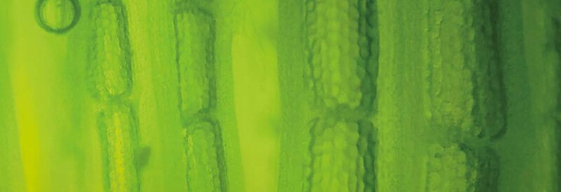 2023 Fisher Science Education Chemicals Catalog