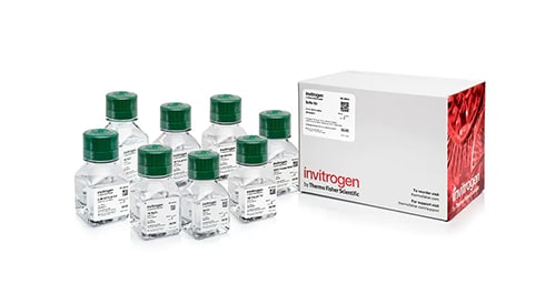 PCR Specific Buffers