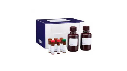 Cell Function Reagents and Kits