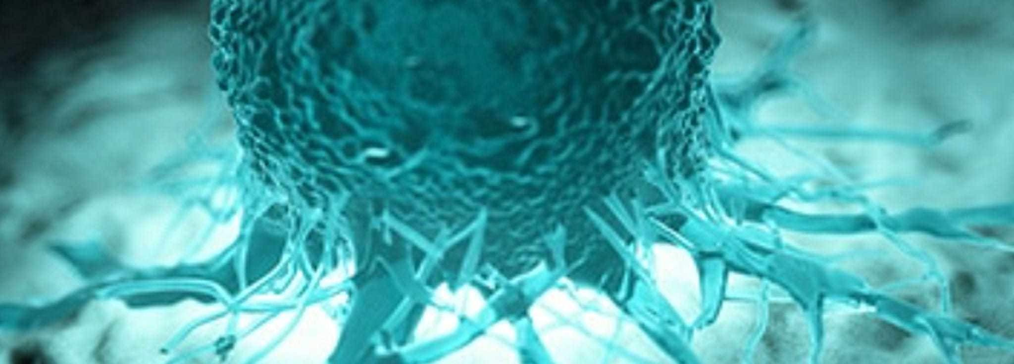 Shop Fisher Bioreagents Products