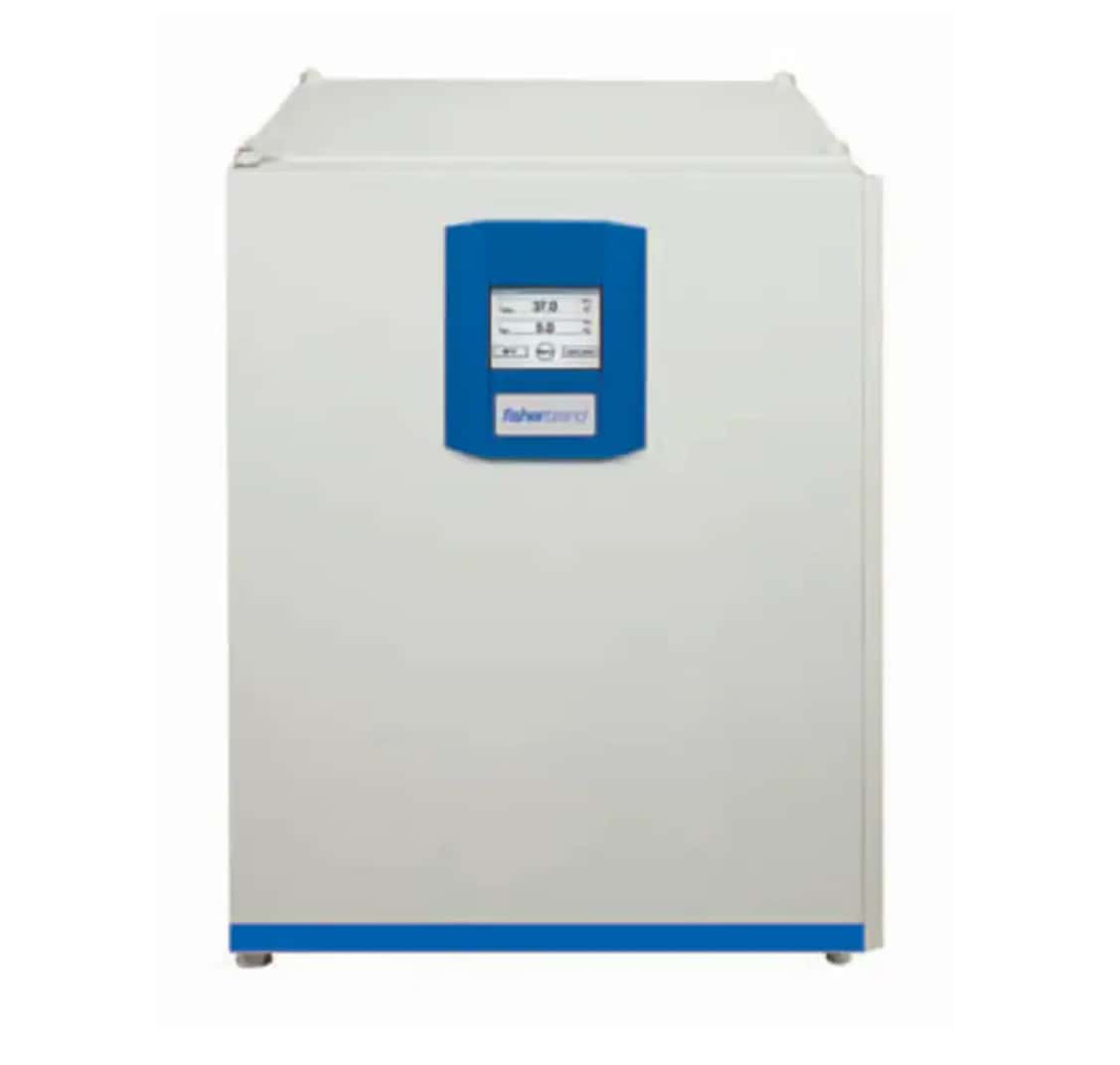 Fisherbrand™ Isotemp™ CO2 Incubator, 150 L, Stainless Steel
