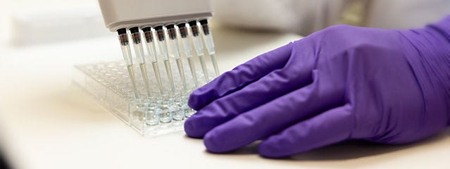 ELISA Kits