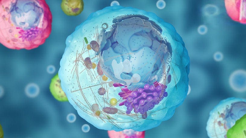 5 Reasons Why pH is Critical for Cell Health