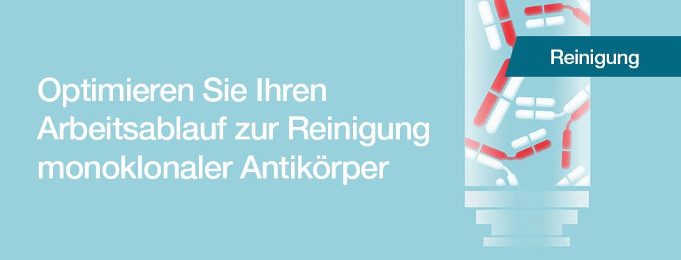 Protein A-Chromatographieharze