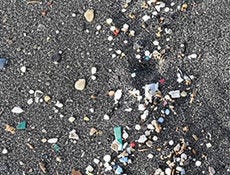 Microplastics: Investigating Risk and Finding Evidence