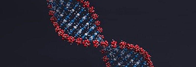 The Human Body is Mostly Bacteria: 10 Times More Bacterial Cells than Human Cells Found on Average