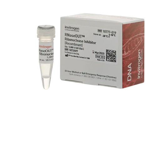 25364_Merch_P2_Product1