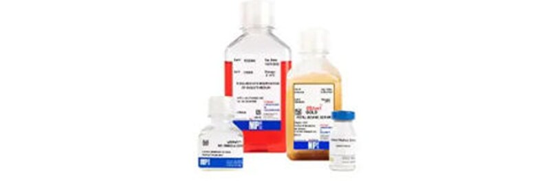 Cell Culture Products