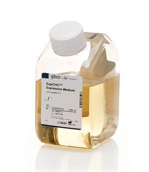 Gibco™ ExpiCHO™ Expression Medium
