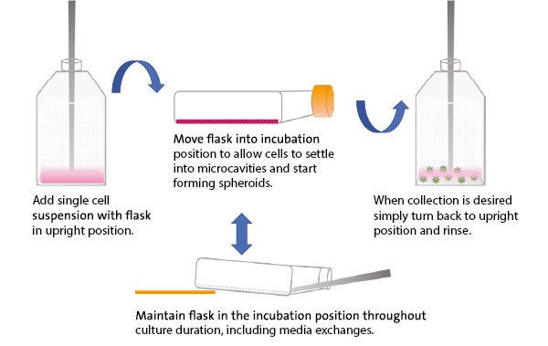 Applicable Solutions