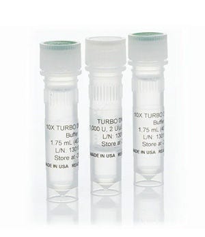Invitrogen™ TURBO DNase™ (2 U/μL)