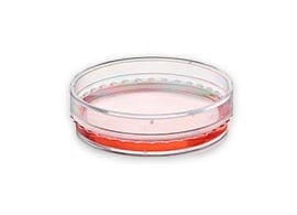 Cell Culture Dishes