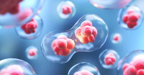 3D Cell Culture and Bioprinting