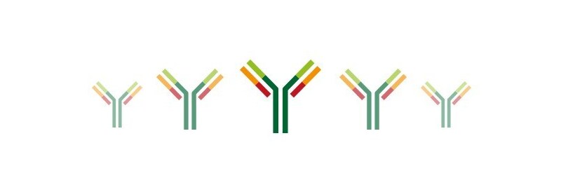 Antibody Buying Guide