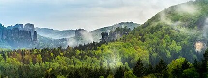 Greener Choice Solutions Greener Choice Solutions