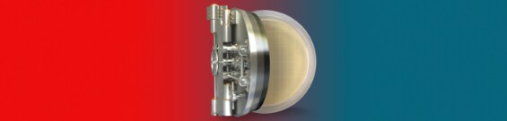 Tresortür, die eine Agarplatte enthüllt Tresortür, die eine Agarplatte enthüllt