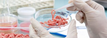 Meat grown in a petri dish Fleisch in einer Petrischale gewachsen