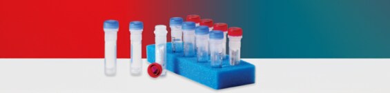 Reagenzgläser Reagenzgläser