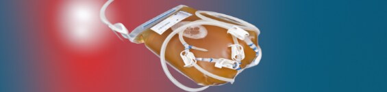 Anreicherungsbouillon Anreicherungsbouillon