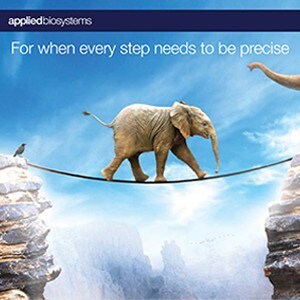 thermal-cycler thermal-cycler