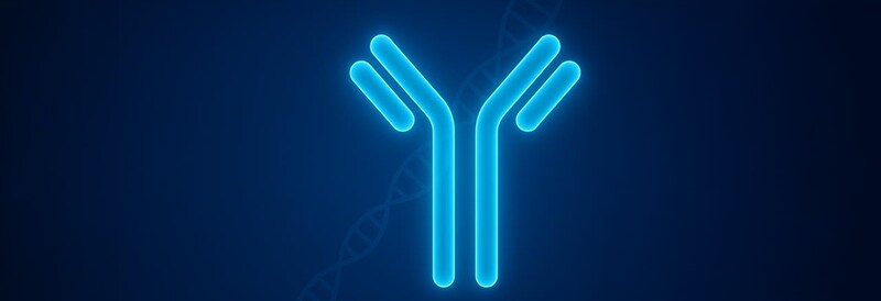 Recombinant Antibodies: Why Researchers Are Making the Switch