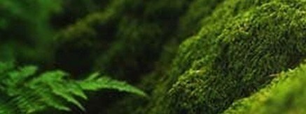 22933_sustainbility Sustainability Program