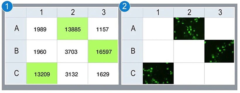 22012_specification_image_3_new 22012_specification_image_3_new