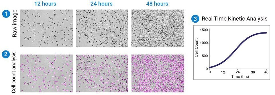 22012_specification_image_2_new 22012_specification_image_2_new