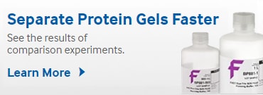 Separate Protein Gels Faster