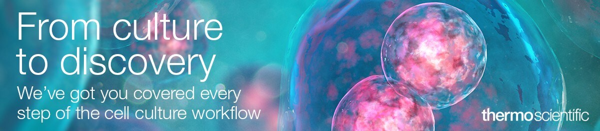 13372_original_banner_IE-IT-PT 13372_original_banner_IE-IT-PT