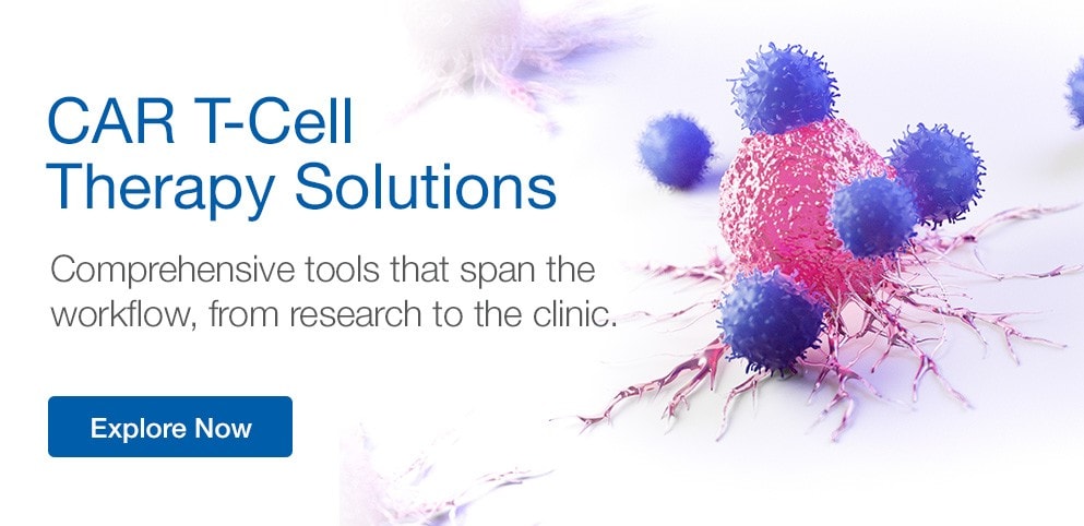 CAR T-Cell Therapy Solutions