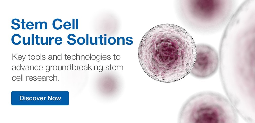 Stem Cell Therapy Solutions